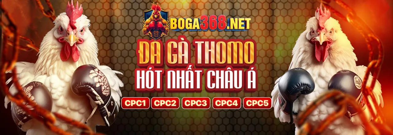 Ứng dụng 678win Đá Gà trên điện thoại