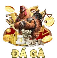 Trực Tiếp Đá Gà HD