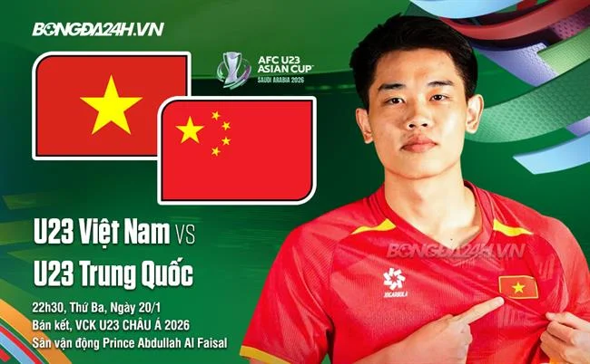 Trực tiếp đá gà chất lượng cao